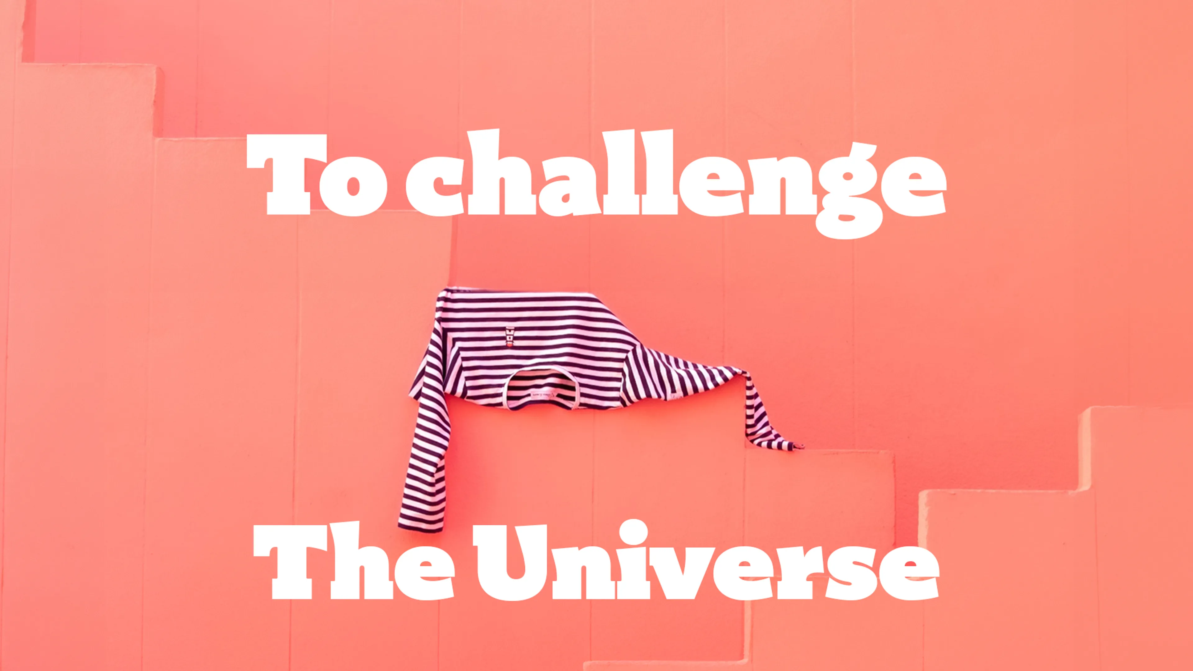 To Challenge The Universe poster